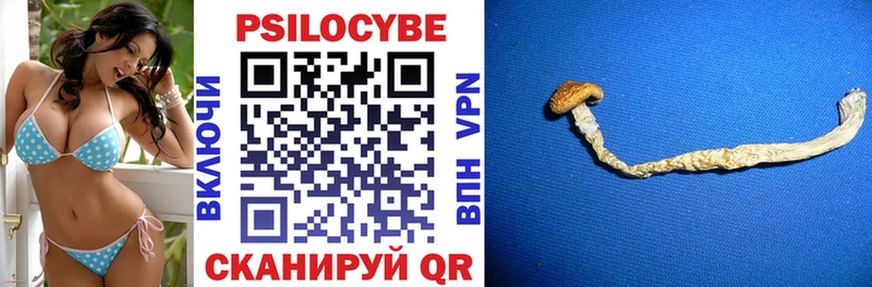 купить наркотик  Буинск  blacksprut зеркало  Галлюциногенные грибы GOLDEN TEACHER 